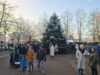 Weihnachtsbaum gesucht: Gemeinde Stelle bittet um Baumspende Die meterhohe Weihnachtstanne auf dem Rathausplatz in Stelle. Foto: Hamann