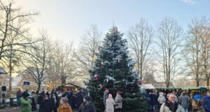 Die meterhohe Weihnachtstanne auf dem Rathausplatz in Stelle. Foto: Hamann