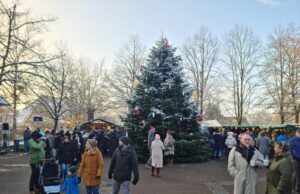 Die meterhohe Weihnachtstanne auf dem Rathausplatz in Stelle. Foto: Hamann