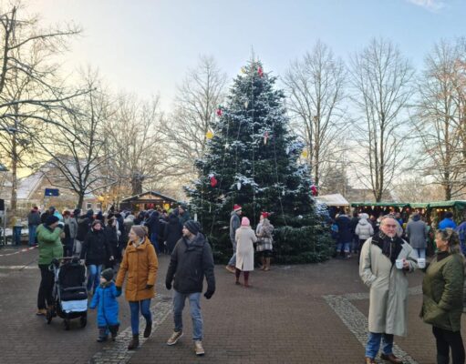 Die meterhohe Weihnachtstanne auf dem Rathausplatz in Stelle. Foto: Hamann