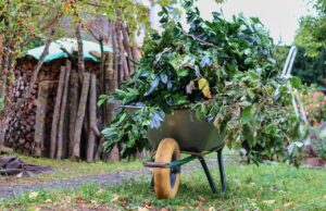 Grünabfall. Foto: Symbolbild