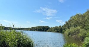 Der Badesee in Maschen. bei schönem Sommerwetter. Foto: Hamann