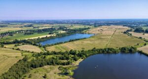 Ein neues Zuhause erhalten die Uferschwalben am Steller See. Foto: Landkreis Harburg
