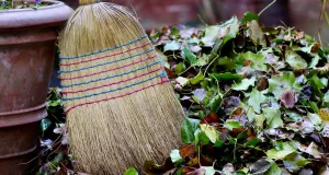 Herbstzeit ist Reinigungszeit: Die Gemeinde Stelle erinnert an die Pflichten der Anwohner. Foto: Symbolbild