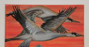 Die Ausstellung "Alles was fliegt" zeigt die Schönheit der Natur. Foto: Josta Riedel