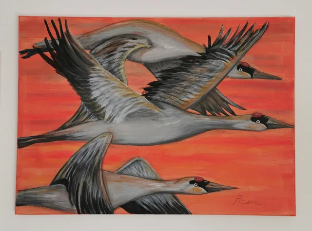 Die Ausstellung "Alles was fliegt" zeigt die Schönheit der Natur. Foto: Josta Riedel Die Ausstellung "Alles was fliegt" zeigt die Schönheit der Natur. Foto: Josta Riedel