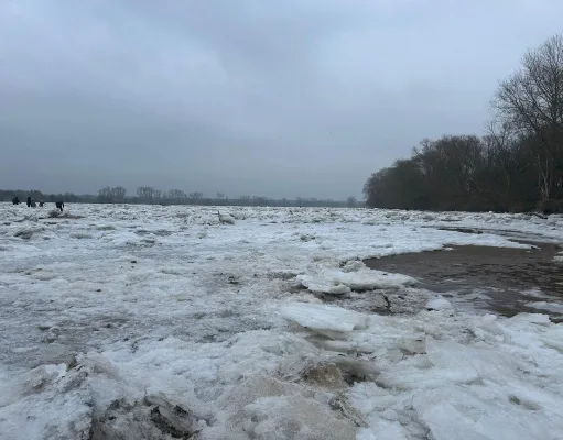 Große Eisschollen auf der Elbe bieten ein besonderes Naturschauspiel, sorgen aber auch für Ärger bei Anwohnern. Foto: Walczak