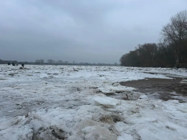 Große Eisschollen auf der Elbe bieten ein besonderes Naturschauspiel, sorgen aber auch für Ärger bei Anwohnern. Foto: Walczak