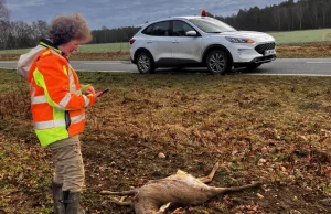Im vergangenen Jahr kamen im Landkreis Harburg mehr als 1.200 Rehe bei Wildunfällen ums Leben. Foto: Jägerschaft Landkreis Harburg e.V.