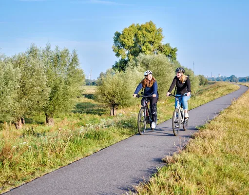 Flach, abwechslungsreich und für alle Altersgruppen geeignet: Der Elberadweg verbindet sechs Regionen in fünf Bundesländern. Foto: Florian Trykowski