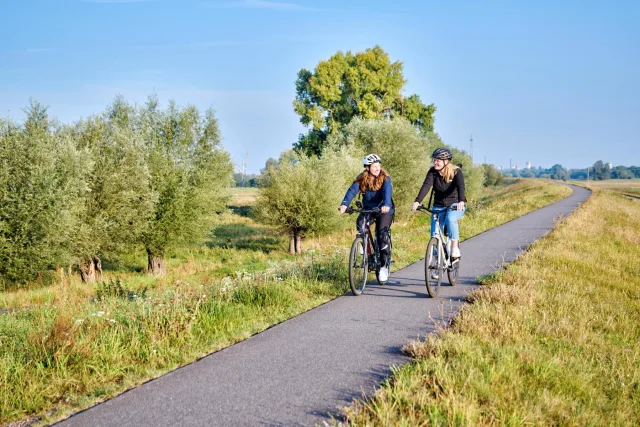 Flach, abwechslungsreich und für alle Altersgruppen geeignet: Der Elberadweg verbindet sechs Regionen in fünf Bundesländern. Foto: Florian Trykowski