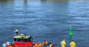 Die Feuerwehr rückte mit einem Kleinboot zur Elbe aus, konnte das Schaf aber nicht lebend retten. Foto: Hamann