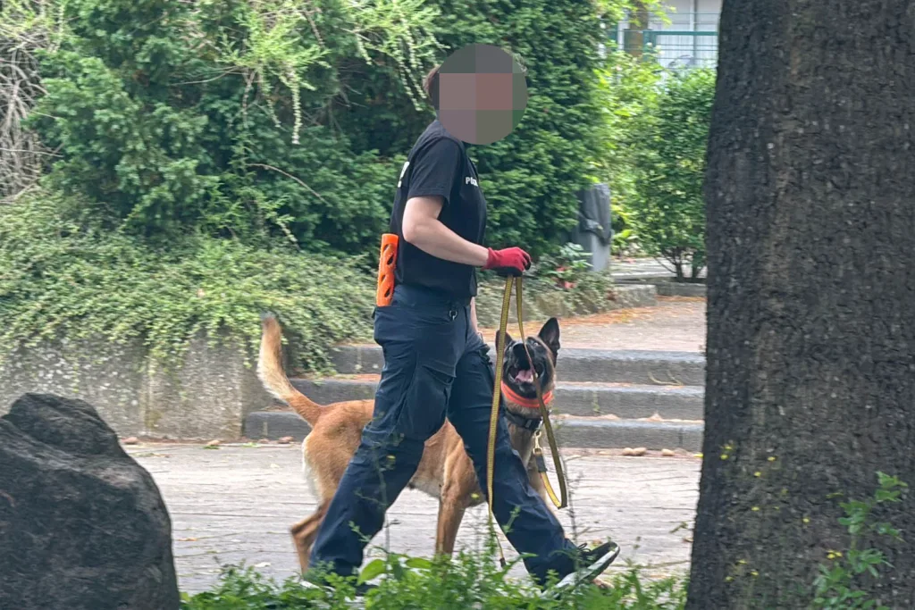 Mit Hunden durchsuchte die Polizei das Gymnasium. Foto: Hamann
