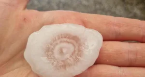 Golfballgroßer Hagel in Scharmbeck: "Sowas habe ich noch nie erlebt", sagt Leserin Inke. Ihr Terrassendach wurde durchlöchert. Foto: Inke
