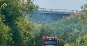 Rauchentwicklung und Feuerwehreinsatz an der Bahnstrecke Hamburg - Lüneburg. Foto: JOTO