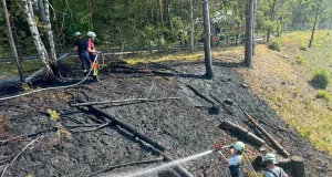öschungsbrand am Bardenweg in Stelle: Die Feuerwehr verhinderte eine Ausbreitung auf die Bahngleise. Foto: JOTO