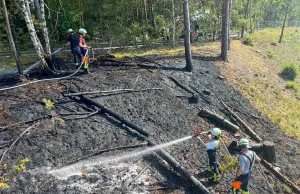 öschungsbrand am Bardenweg in Stelle: Die Feuerwehr verhinderte eine Ausbreitung auf die Bahngleise. Foto: JOTO