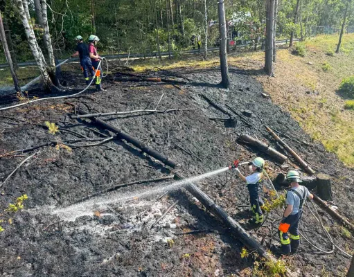 öschungsbrand am Bardenweg in Stelle: Die Feuerwehr verhinderte eine Ausbreitung auf die Bahngleise. Foto: JOTO