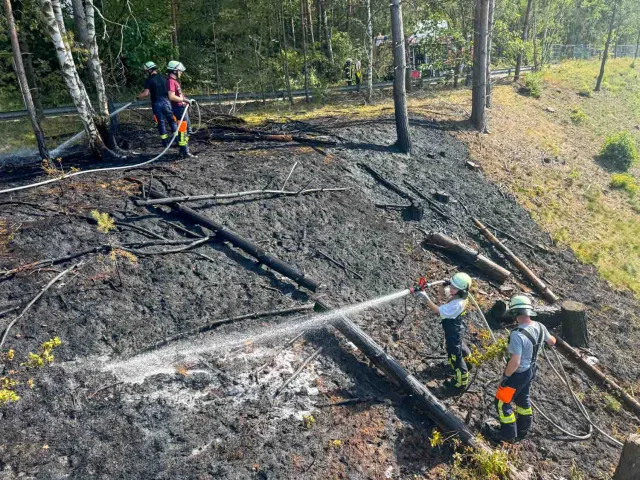 öschungsbrand am Bardenweg in Stelle: Die Feuerwehr verhinderte eine Ausbreitung auf die Bahngleise. Foto: JOTO