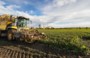 Grüner Kreis Stelle lädt zur Werksbesichtigung bei Nordzucker ein Rübenroder auf dem Feld. Foto: Nordzucker AG