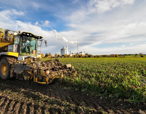 Grüner Kreis Stelle lädt zur Werksbesichtigung bei Nordzucker ein Rübenroder auf dem Feld. Foto: Nordzucker AG