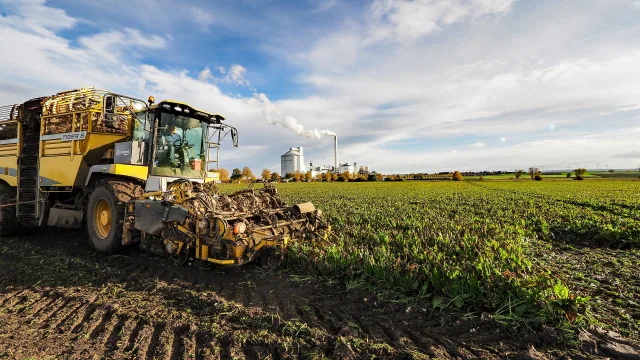 Nordzucker_Kampagnestart_Rübenroder auf dem Feld Rübenroder auf dem Feld. Foto: Nordzucker AG