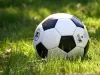 TSV Stelle startet mit Walking Football durch Fußball. Foto: Symbolbild